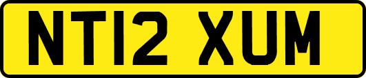 NT12XUM