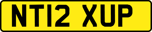NT12XUP