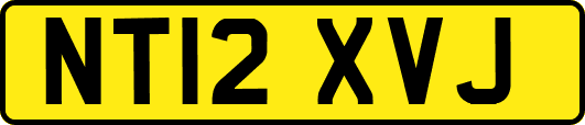 NT12XVJ
