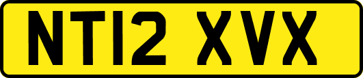 NT12XVX