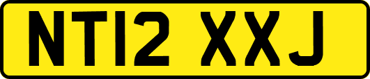 NT12XXJ