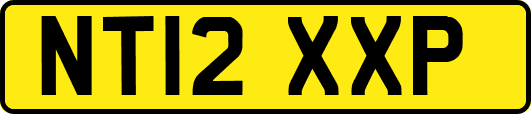 NT12XXP