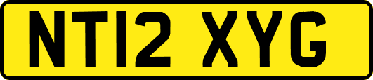 NT12XYG
