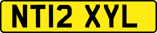 NT12XYL