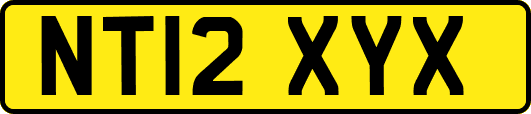 NT12XYX