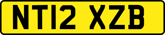 NT12XZB