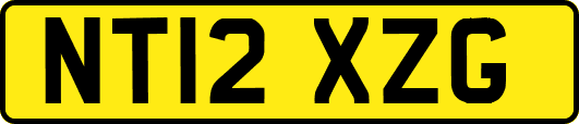 NT12XZG