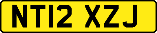 NT12XZJ