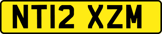 NT12XZM