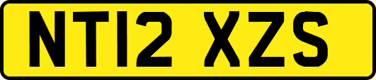 NT12XZS