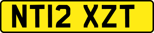 NT12XZT