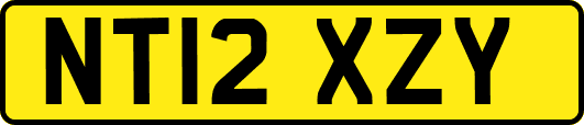 NT12XZY