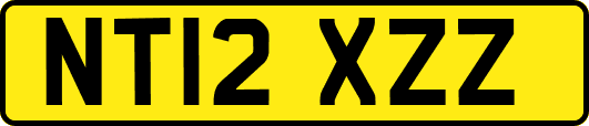 NT12XZZ