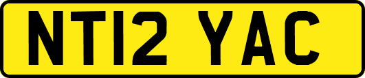 NT12YAC