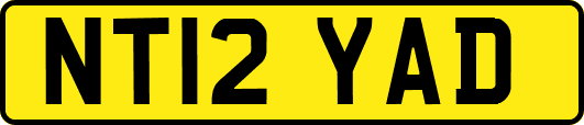 NT12YAD