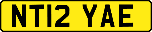 NT12YAE