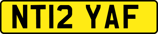 NT12YAF
