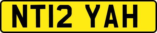 NT12YAH