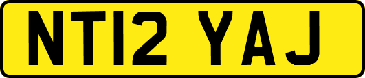 NT12YAJ