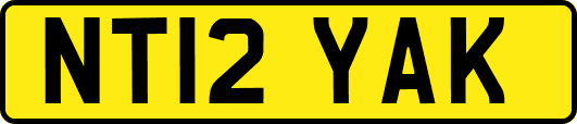 NT12YAK