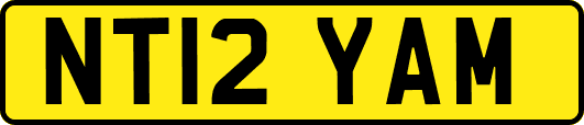 NT12YAM