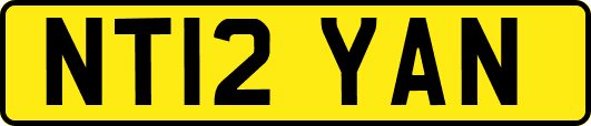 NT12YAN