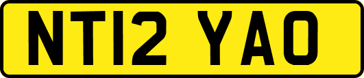 NT12YAO