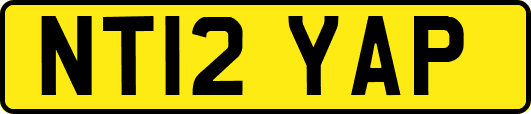NT12YAP