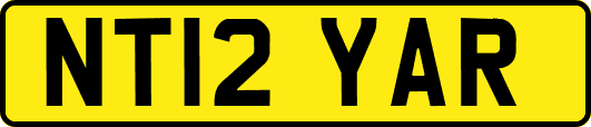 NT12YAR