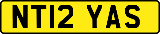 NT12YAS