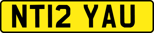 NT12YAU