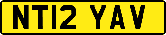 NT12YAV