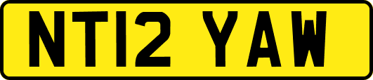 NT12YAW