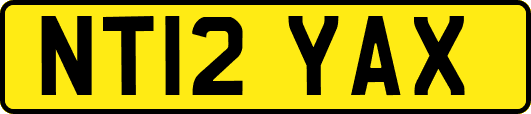 NT12YAX