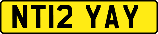 NT12YAY