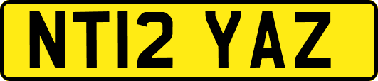 NT12YAZ