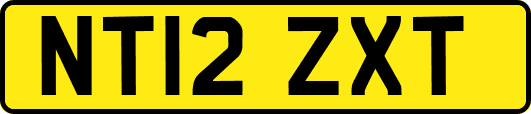 NT12ZXT