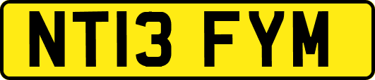 NT13FYM