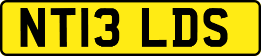 NT13LDS