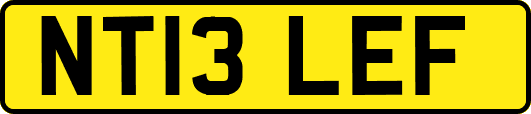 NT13LEF