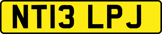 NT13LPJ