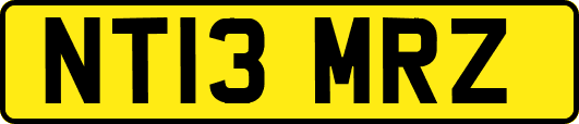 NT13MRZ