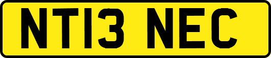 NT13NEC