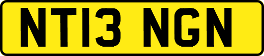 NT13NGN