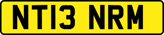 NT13NRM