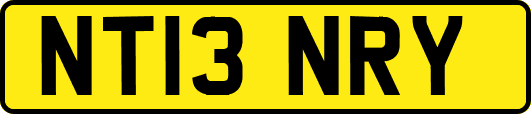 NT13NRY