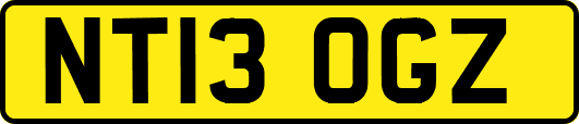 NT13OGZ