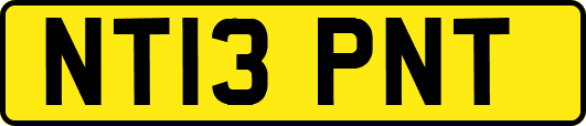 NT13PNT