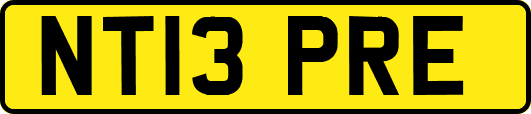 NT13PRE