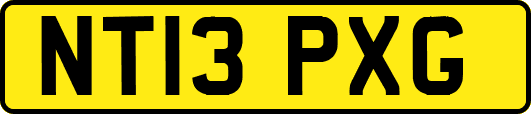 NT13PXG